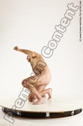 Fighting reference poses of Peter